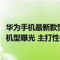 华为手机最新款型号（今日最新更新 华为Mate 50系列全新机型曝光 主打性价比）