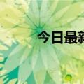 今日最新更新：谁来抓版权刺客？