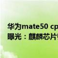 华为mate50 cpu（今日最新更新 华为Mate50全系处理器曝光：麒麟芯片归来！）