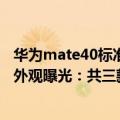 华为mate40标准版后摄（今日最新更新 华为Mate 50全系外观曝光：共三款、标配四摄！）