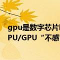 gpu是数字芯片吗（今日最新更新 字节回应自研芯片：对CPU/GPU“不感冒”）