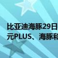 比亚迪海豚29日上市（今日最新更新 比亚迪进入日本市场：元PLUS、海豚和海豹三款亮相）