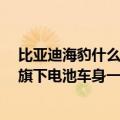 比亚迪海豹什么时候出（今日最新更新 比亚迪海豹上市 为旗下电池车身一体化量产车）