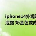 iphone14外观曝光（今日最新更新 iPhone14真机实拍图泄露 奶金色或成主推）