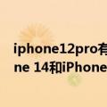 iphone12pro有没有紫色（今日最新更新 又有传言称iPhone 14和iPhone 14 Pro包含紫色机壳选项）