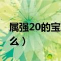 属强20的宝珠有哪些（全属强 10的宝珠叫什么）