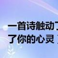 一首诗触动了我的心灵（有哪些情诗曾经击中了你的心灵）