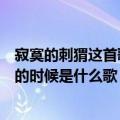 寂寞的刺猬这首歌的故事（你是一个寂寞的刺猬你也有寂寞的时候是什么歌）