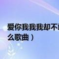 爱你我我我却不敢告诉你是啥歌（我爱你却不能告诉你是什么歌曲）