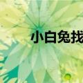 小白兔找朋友绘本（小白兔找萝卜）