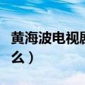 黄海波电视剧主题曲（黄海波将军主题曲叫什么）