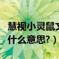 慧视小灵鼠文字识别软件（慧视小灵鼠的图标什么意思?）