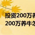 投资200万养牛一年能挣多少钱（我在农村有200万养牛怎么样）