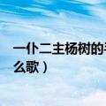 一仆二主杨树的手机铃声下载（一主二仆杨树手机彩铃是什么歌）