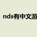 nds有中文游戏吗（NDSL中文游戏有那些）