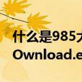 什么是985大学什么是211大学（什么是qqDOwnload.exe）