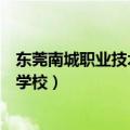 东莞南城职业技术学校（东莞市南城职业中学是一间怎样的学校）