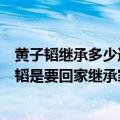 黄子韬继承多少遗产（黄子韬父亲因病离世留百亿资产黄子韬是要回家继承家业了吗）