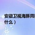 安徽卫视海豚周播剧场（安徽卫视海豚独播剧场那个韩剧叫什么）