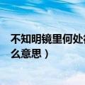 不知明镜里何处得秋霜什么意思（不知明镜里何处得秋霜什么意思）