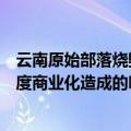 云南原始部落烧毁（国内最后一个原始部落被烧毁背后是过度商业化造成的吗）