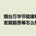 烟台万华节能建材股份有限公司销售工作的工作地点、待遇、发展前景等怎么样（求知情人解答！）