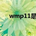 wmp11是什么文件（wmp11啥意思）