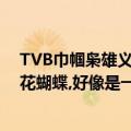 TVB巾帼枭雄义海豪情的片尾曲是什么?貌似不是黎耀祥的花蝴蝶,好像是一段纯音乐（知道的谢谢了）