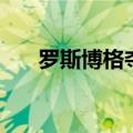 罗斯博格夺冠（博格斯有几个总冠军）