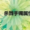 杀戮手镯属性（杀戮守护之镯准确的价钱）