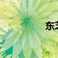 东芝M307（性能如何）