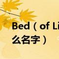 Bed（of Lies伴唱的那个弹钢琴的女的叫什么名字）