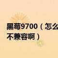 黑莓9700（怎么用桌面管理器5.0 安装主题和部分软件都说不兼容啊）