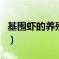 基围虾的养殖成本和条件（基围虾的养殖方法）