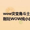 wow灾变角斗士皮甲（WOW灾变角斗士的装备厉害吗本人刚玩WOW纯小白）