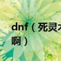 dnf（死灵术士服从中的4种状态是什么意思啊）