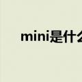 mini是什么文件（mini.msi文件在哪）