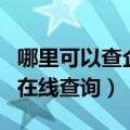 哪里可以查企业信用代码（国家企业信用代码在线查询）