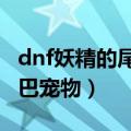 dnf妖精的尾巴称号特效图片（DNF妖精的尾巴宠物）