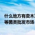 什么地方有卖木耳菌的（请问上海哪有大一点的木耳、香菇等菌类批发市场）