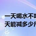 一天喝水不吃饭能减多少斤（不吃饭只喝水七天能减多少斤）