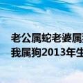 老公属蛇老婆属狗家庭幸福吗?（老婆属蛇2013年蛇人运程我属狗2013年生肖狗的运势）