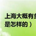 上海大概有多少家减肥中心（大概的收费情况是怎样的）