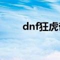 dnf狂虎帝穿什么甲（DNF狂虎帝）