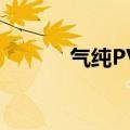 气纯PVP（气纯pvp装备搭配）