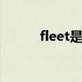 fleet是什么（fleet是什么意思）