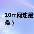 10m网速是多少kbps（10M网速是多少兆宽带）