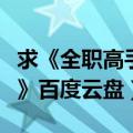 求《全职高手》百度云盘资源（求《全职高手》百度云盘）