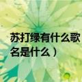 苏打绿有什么歌（在（快乐大本营）放的那首苏打绿的歌歌名是什么）