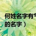 何姓名字有气质好听的女孩名字（何姓温柔点的名字）